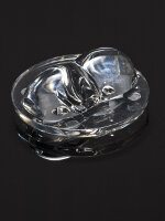 Part number CA13156_EMERALD-A Product Type LED Optics from Manufacturer LEDiL 